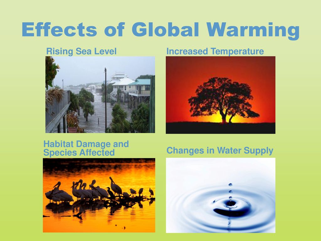 Global warming is the rise