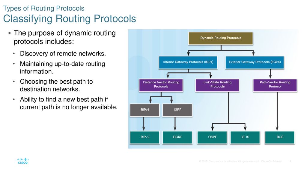 networking and routing protocols