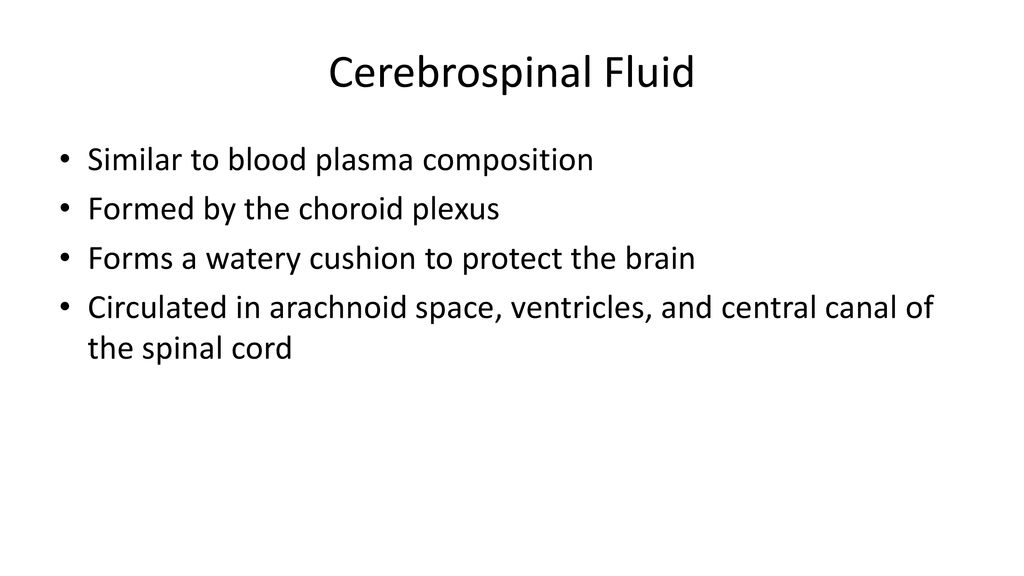 Functions of the Nervous System - ppt download