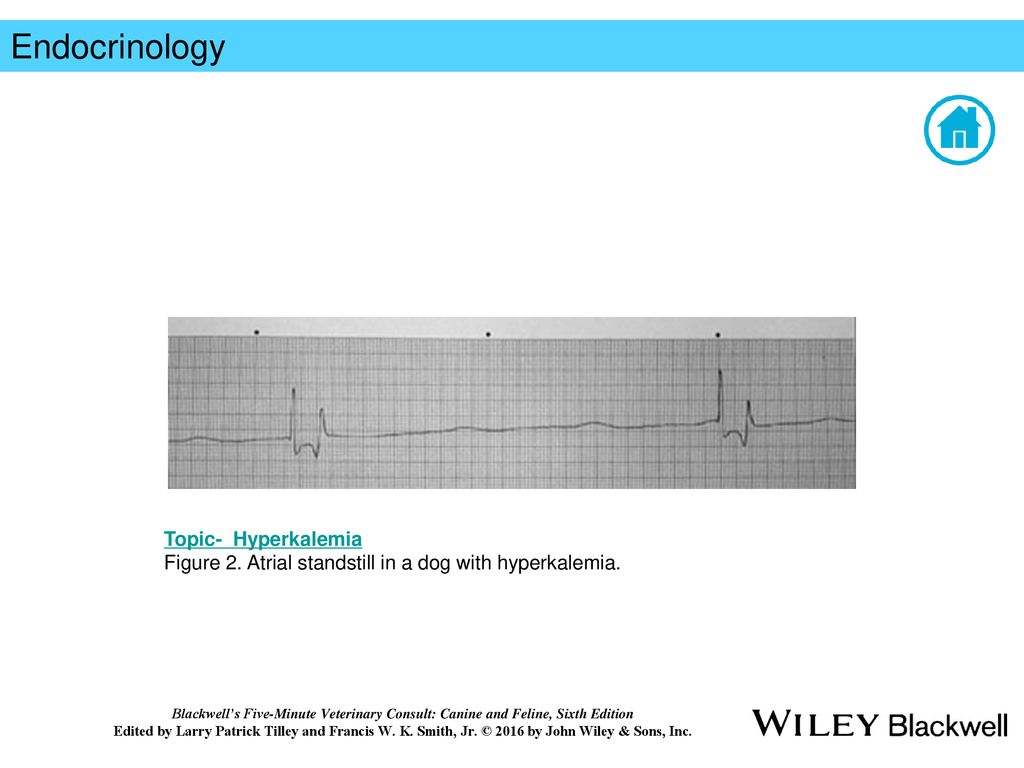 Endocrinology Topic- Glucagonoma - ppt download