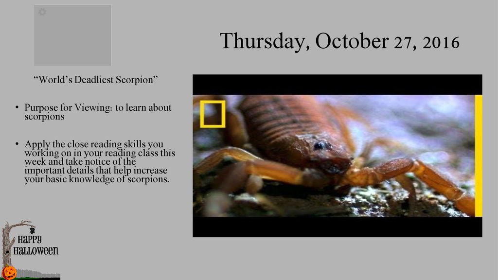 October 24 28 2016 Mrs Burchette Ppt Download october-24-28-2016-mrs-burchette-ppt-download