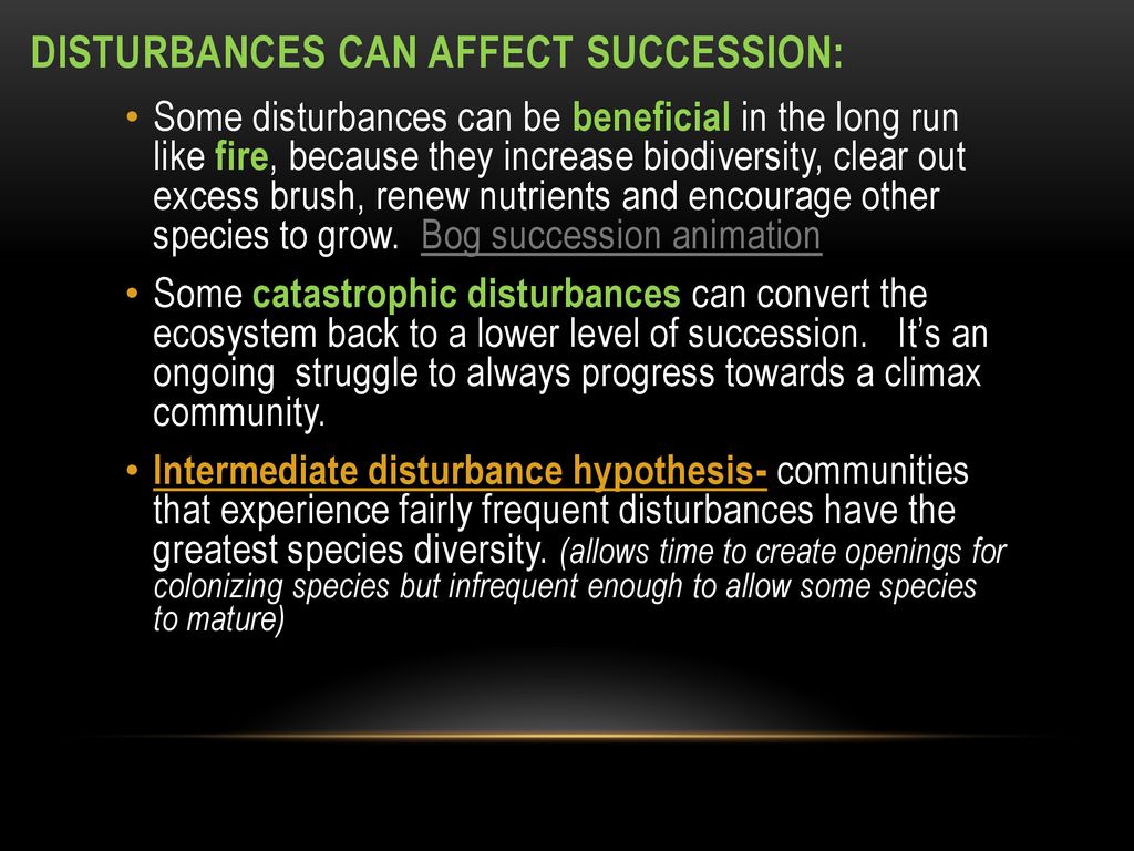 DISTURBANCES CAN AFFECT SUCCESSION: