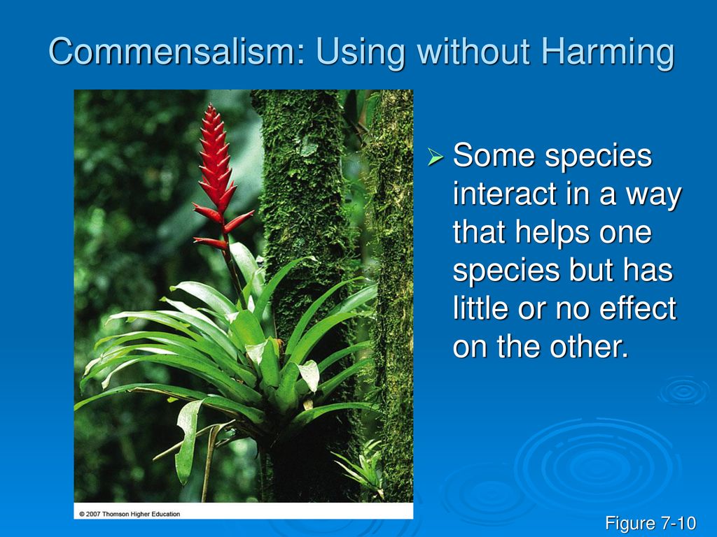 Commensalism: Using without Harming