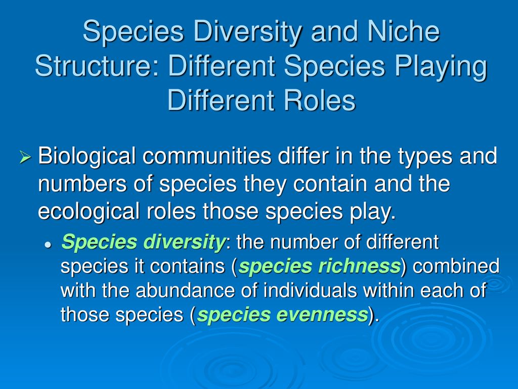 Species Diversity and Niche Structure: Different Species Playing Different Roles