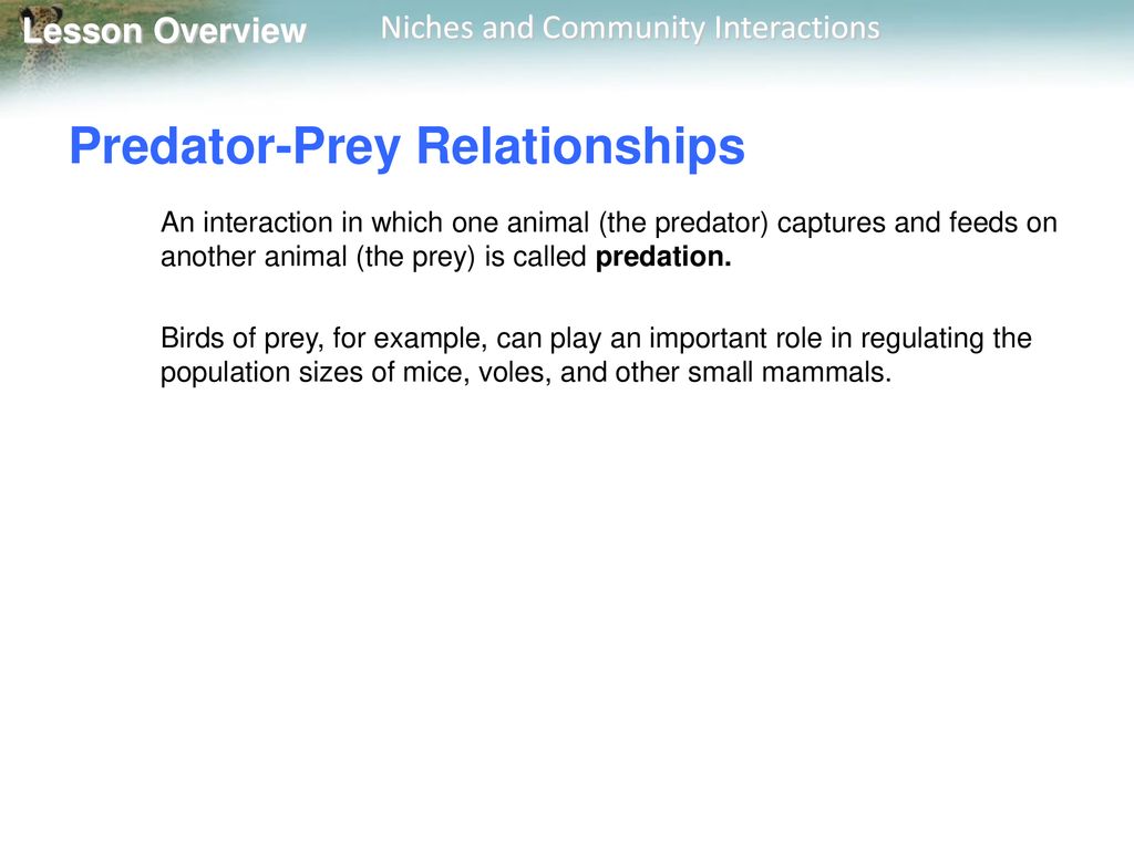 4.2 Niches and Community Interactions Biology Diagrams