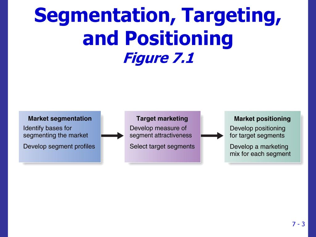 puma segmentation targeting and positioning