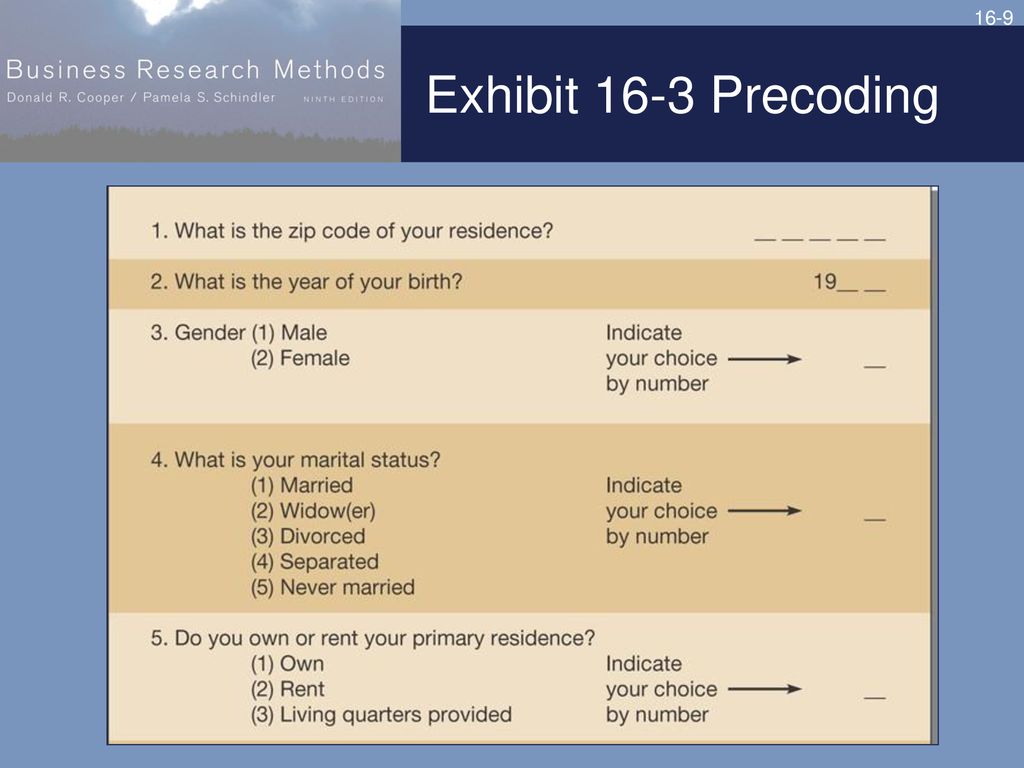 Data Preparation and Description - ppt download