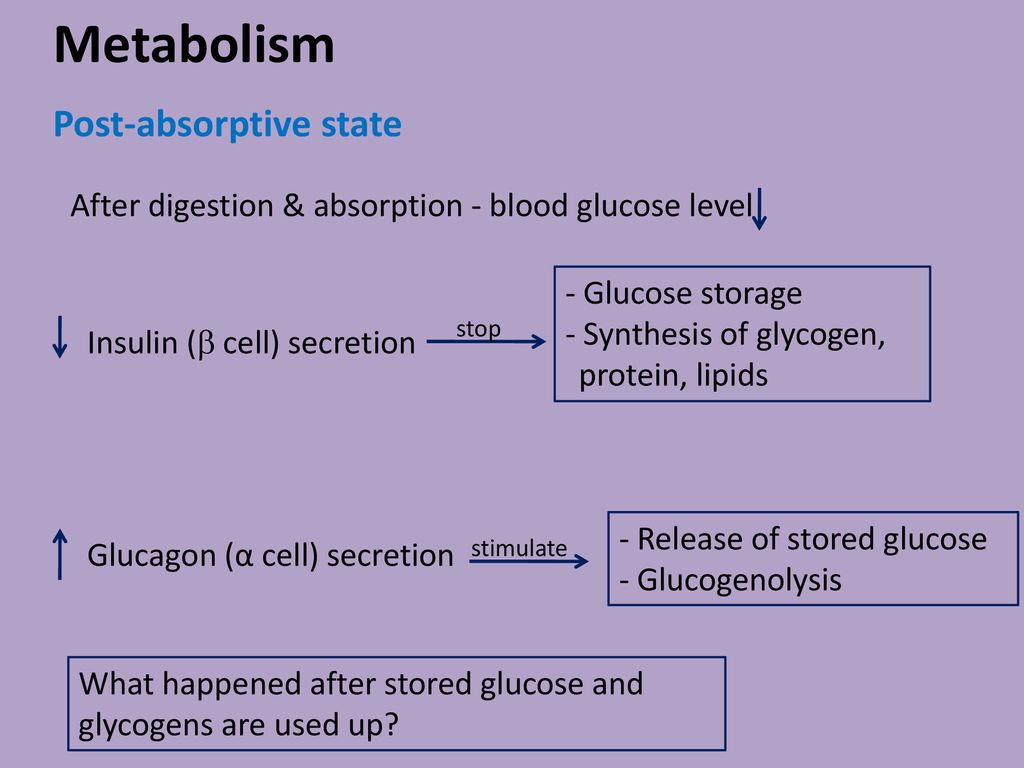 absorptive and postabsorptive state of metabolism