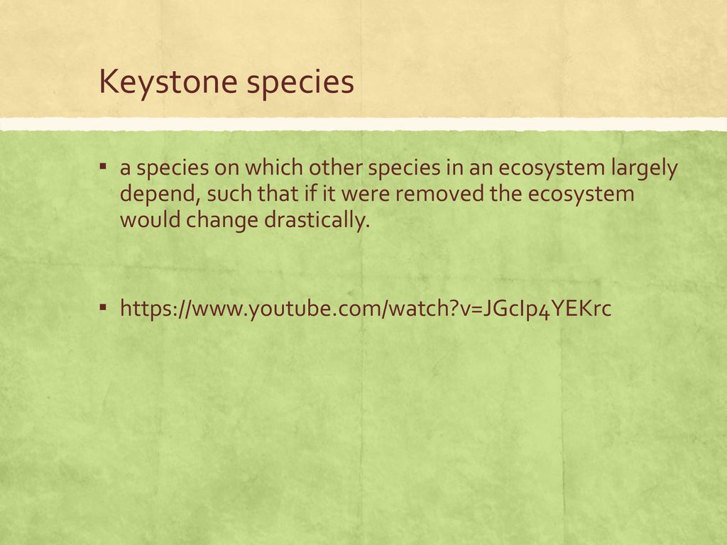 APES Evolution and Biodiversity ppt download