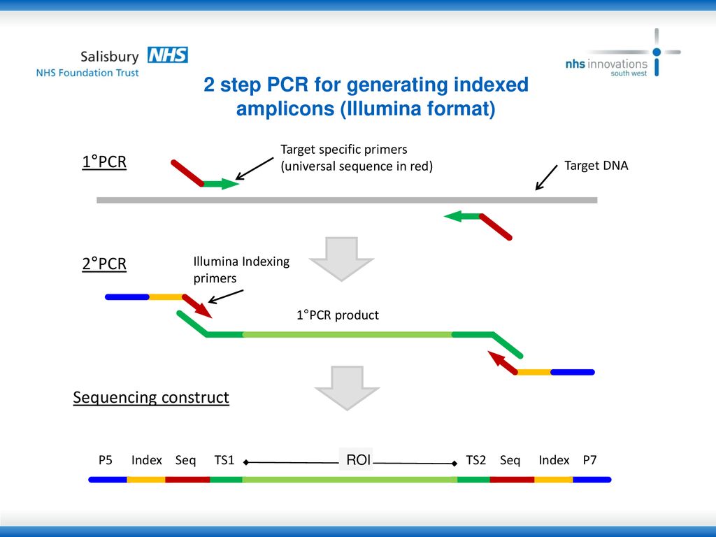 Reverse Complement PCR: fast, low cost amplicon based NGS - ppt download