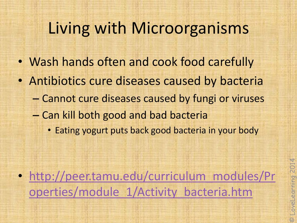 Living with Microorganisms