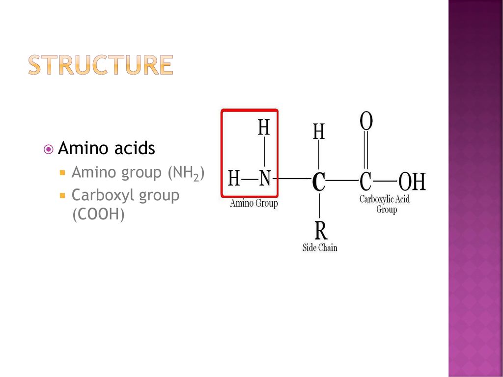 Structure Amino acids Amino group (NH2) Carboxyl group (COOH)