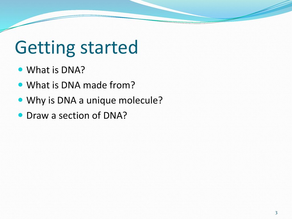 Getting started What is DNA What is DNA made from