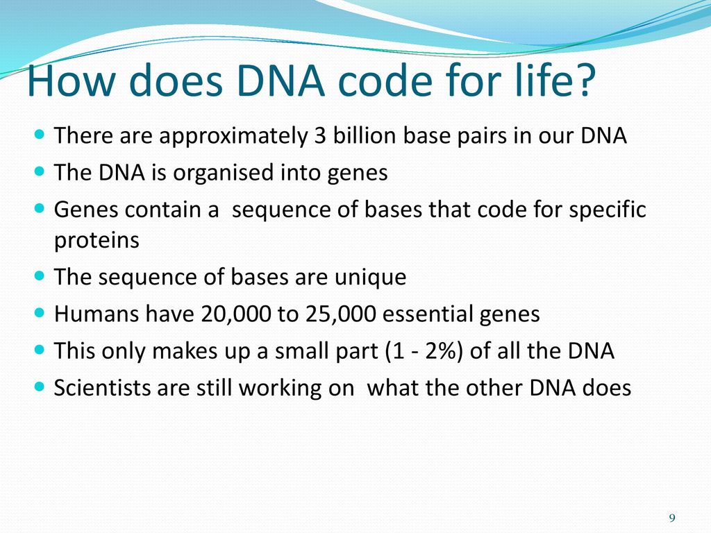 How does DNA code for life