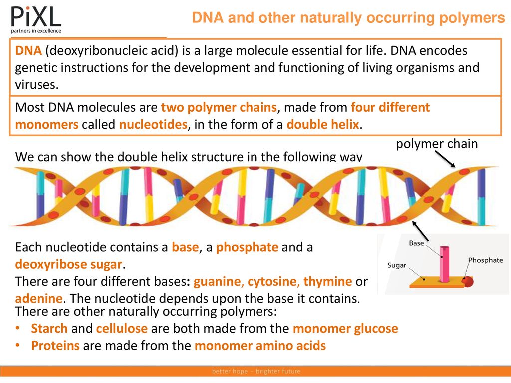 DNA and other naturally occurring polymers