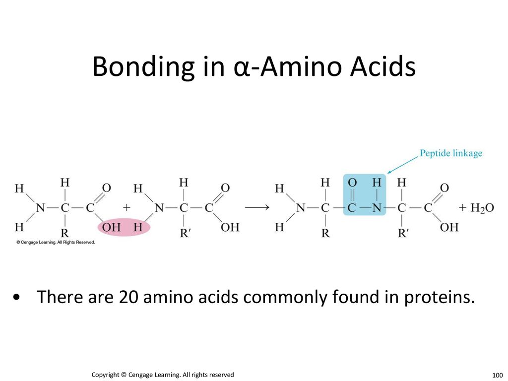 Bonding in α-Amino Acids