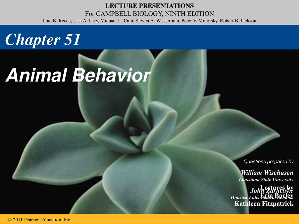 Chapter 51 Animal Behavior. - Ppt Download