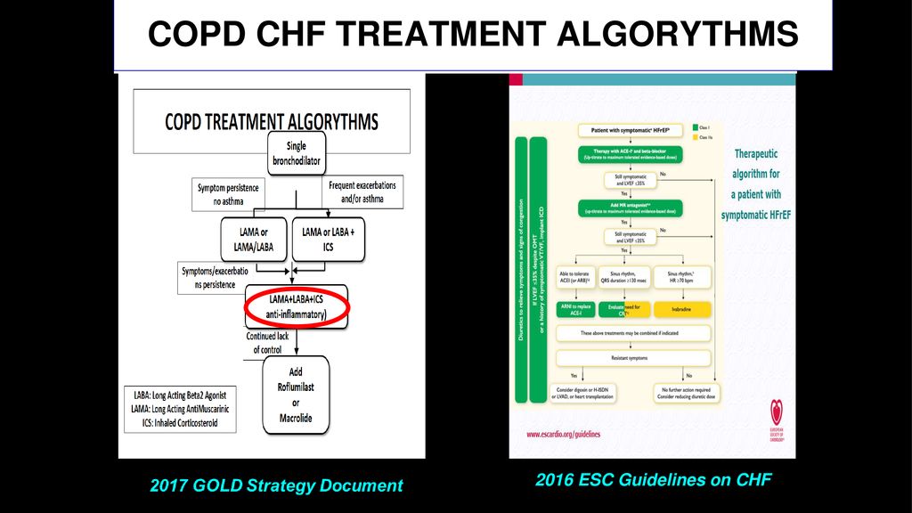 UPDATE DELLE LINEE GUIDA BPCO Leonardo M. Fabbri, MD, FERS - ppt download