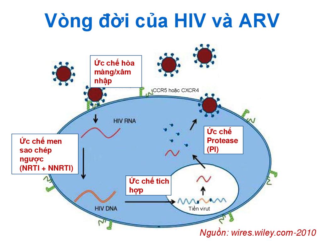 Principles of ARV Therapy