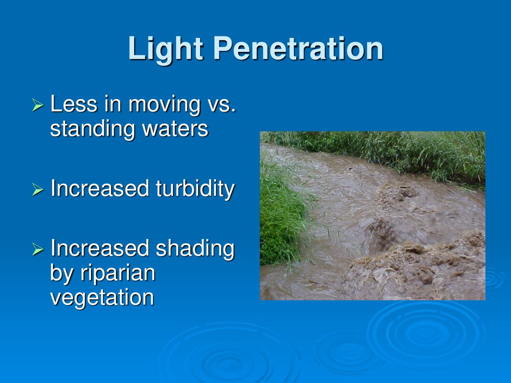 Light Penetration Less in moving vs. standing waters