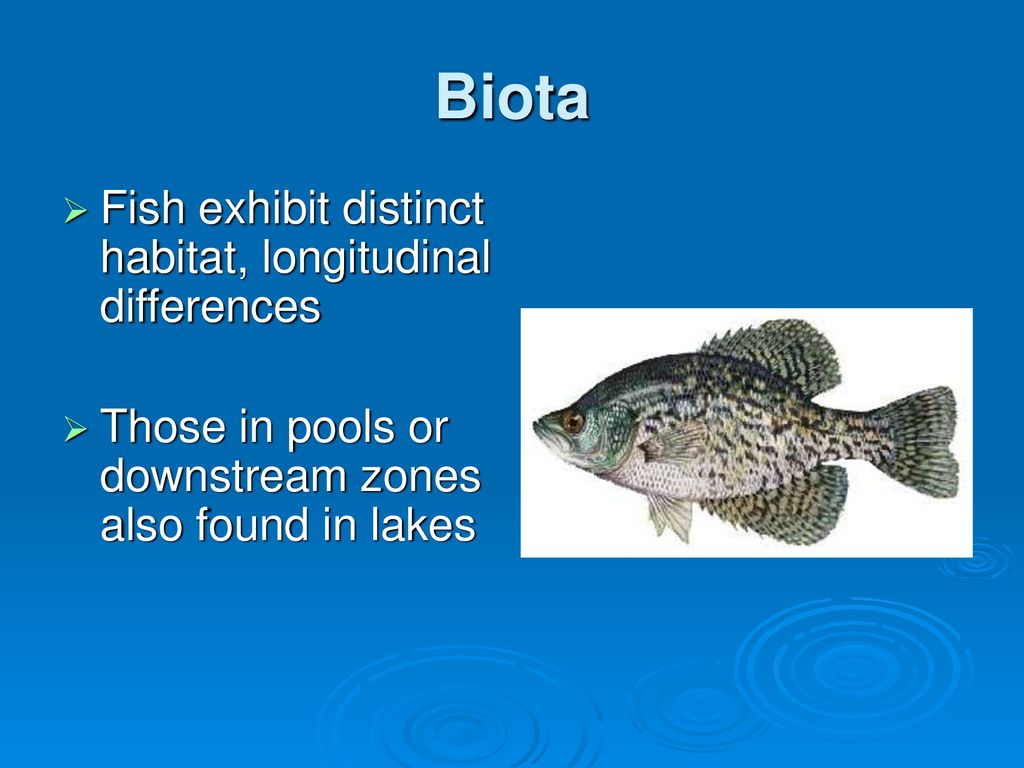 Biota Fish exhibit distinct habitat, longitudinal differences