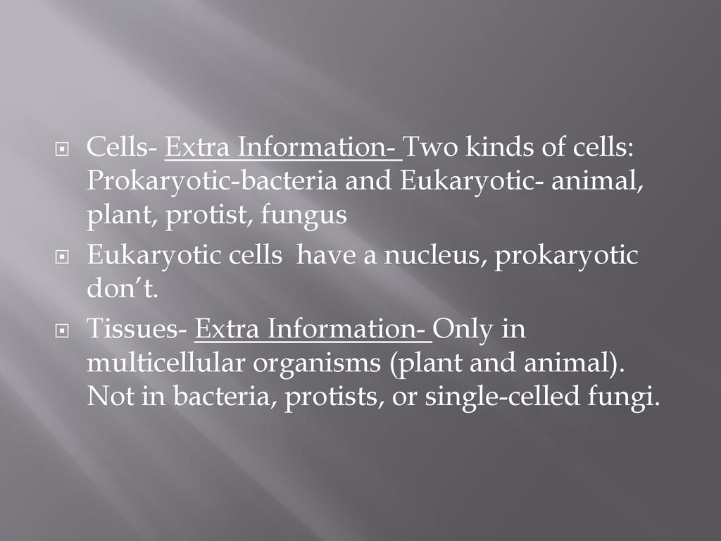 Cells- Extra Information- Two kinds of cells: Prokaryotic-bacteria and Eukaryotic- animal, plant, protist, fungus