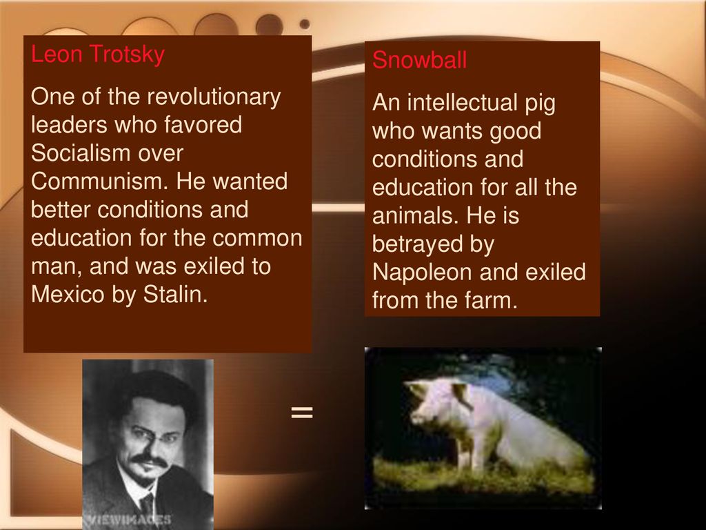 Animal Farm: A metaphor for the Russian Revolution and Communism - ppt  download