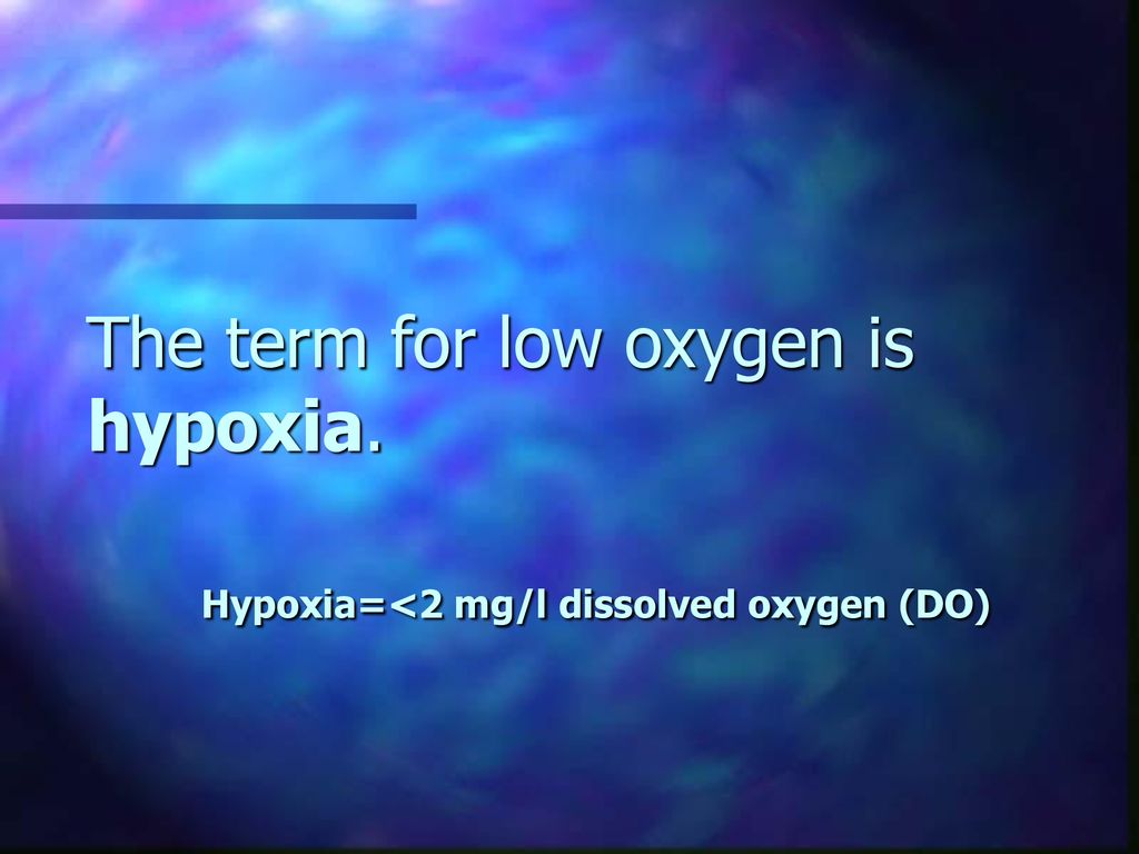 Hypoxia in the Gulf of Mexico ppt download