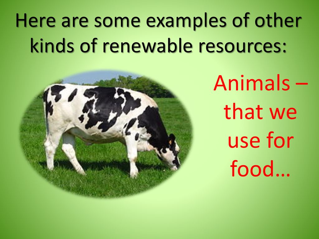 OUR NATURAL RESOURCES By: Annette Miles. - ppt download