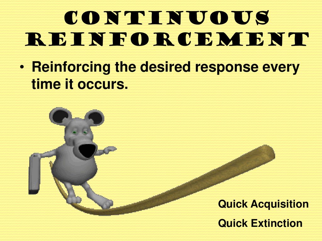 Reinforcement schedules ppt download
