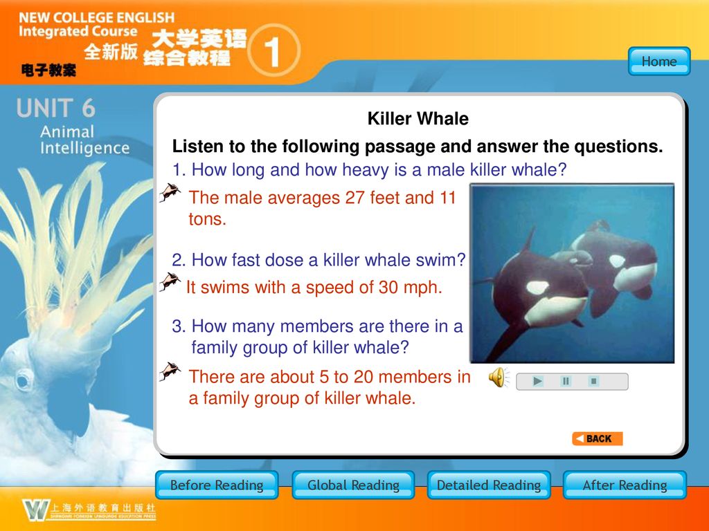 6BR Before Reading 1. Gorilla Introduction to Gorillas - ppt download