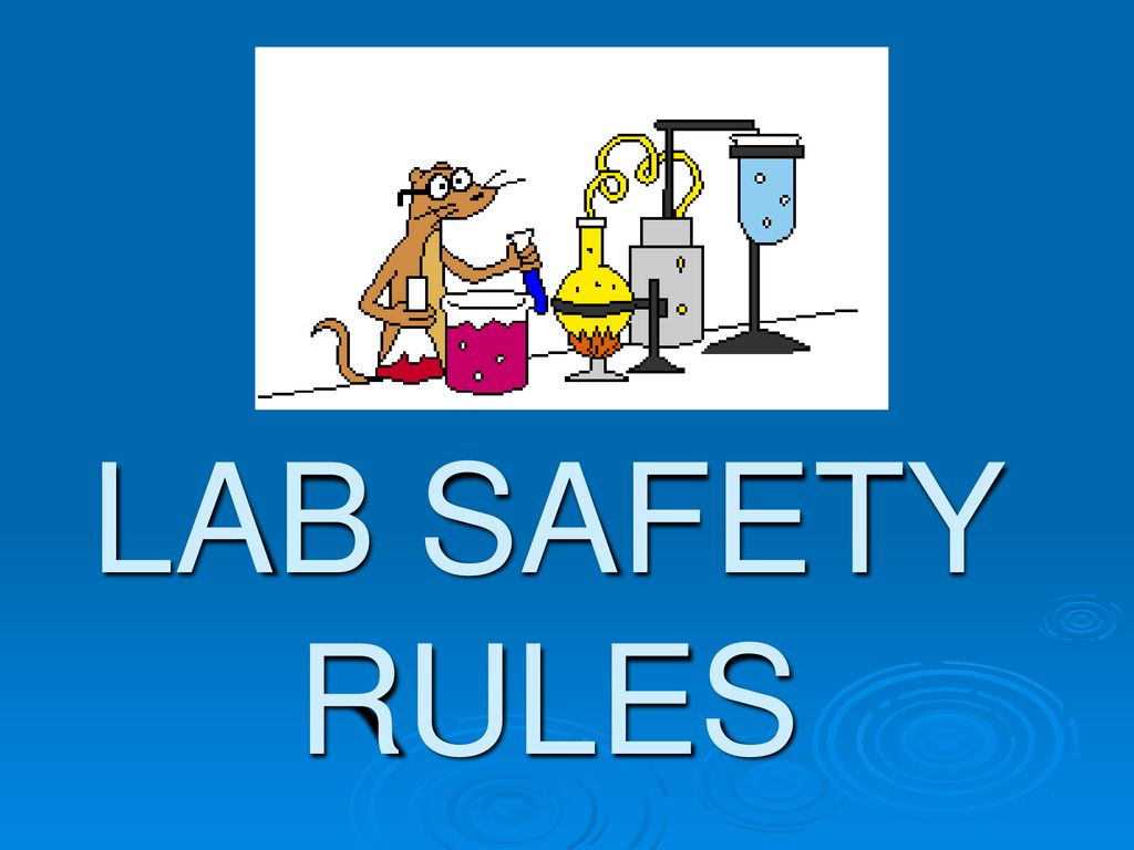 LAB SAFETY RULES. ppt download