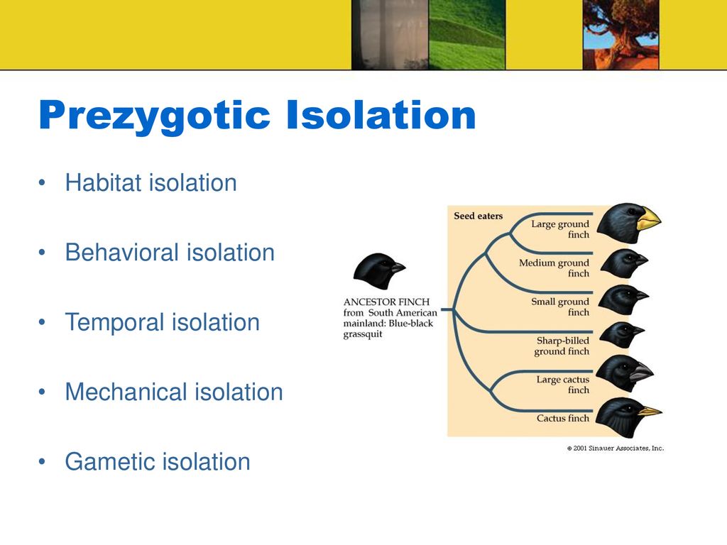 Introduction to biology ii ppt download