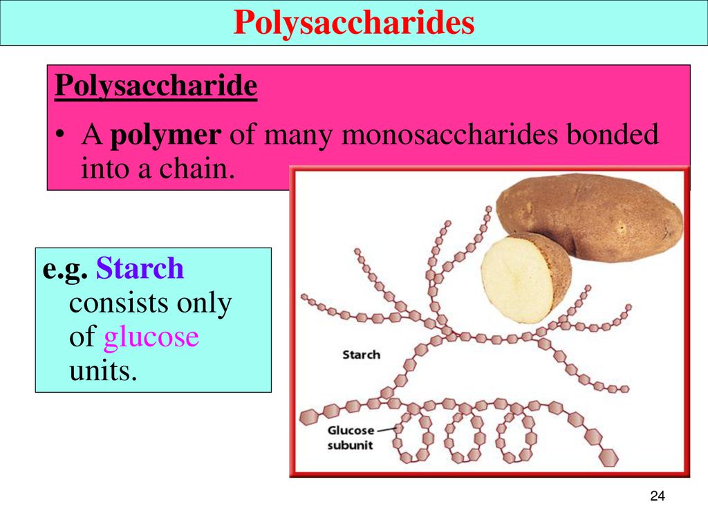 Polysaccharides Polysaccharide