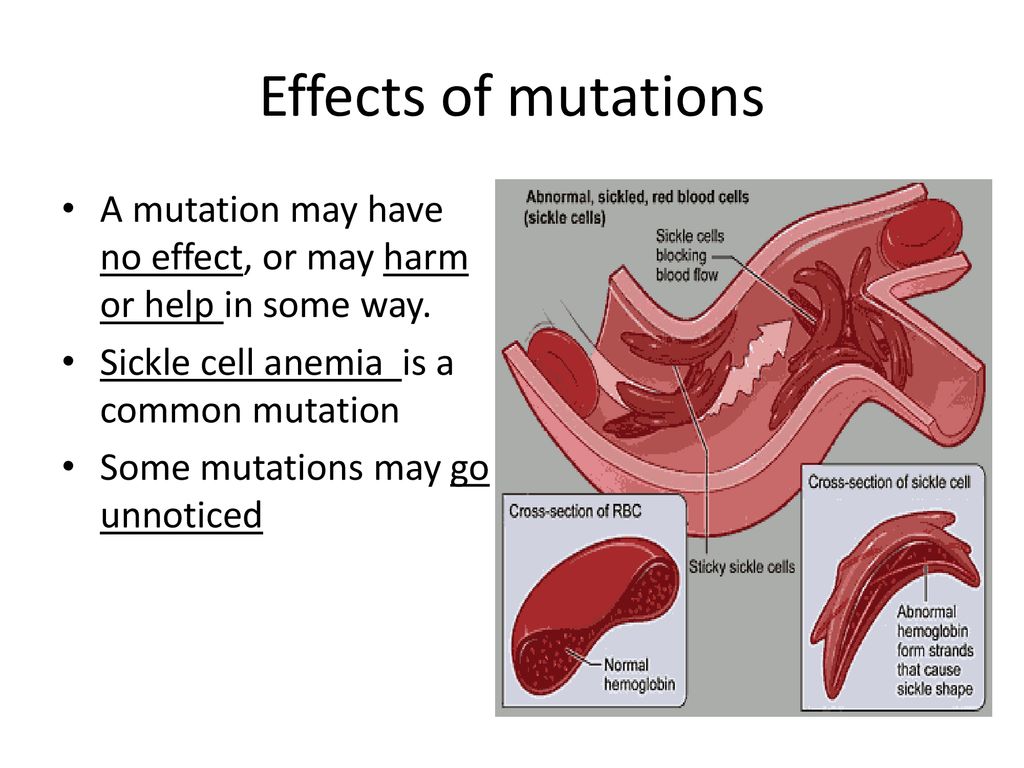 Mutation and Genetic Change Biology Diagrams