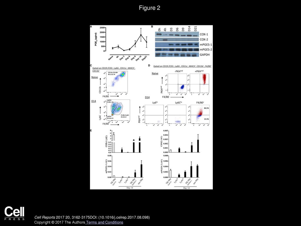 Volume 20, Issue 13, Pages (September 2017) - ppt download