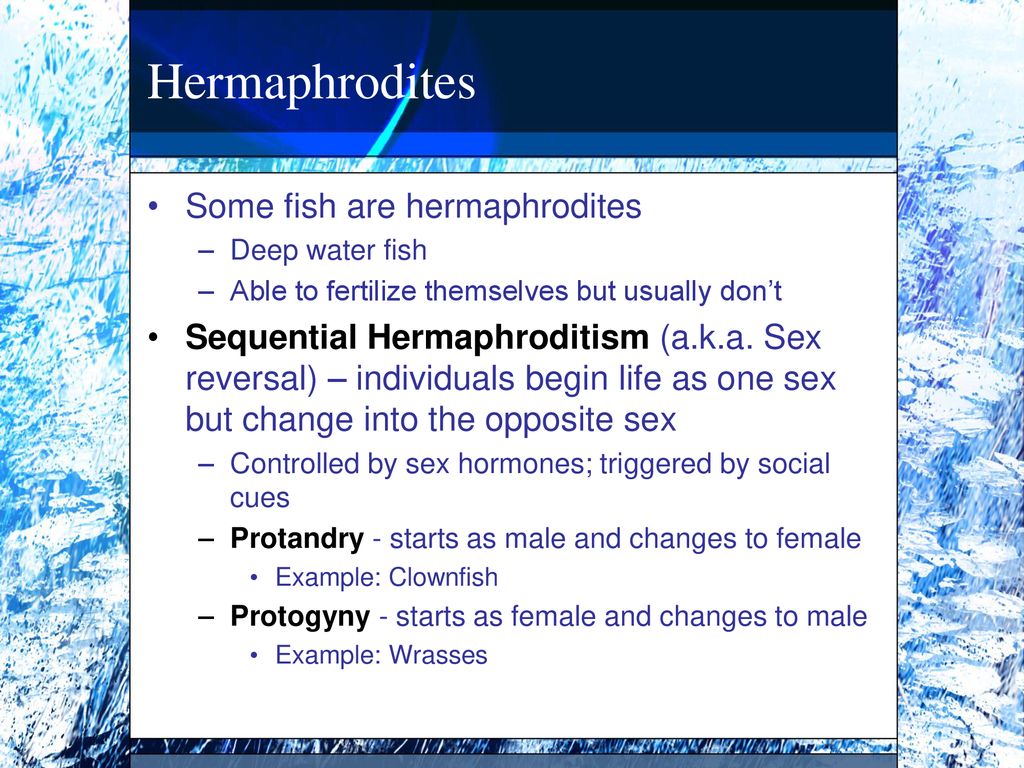 Fish reproduction ppt download