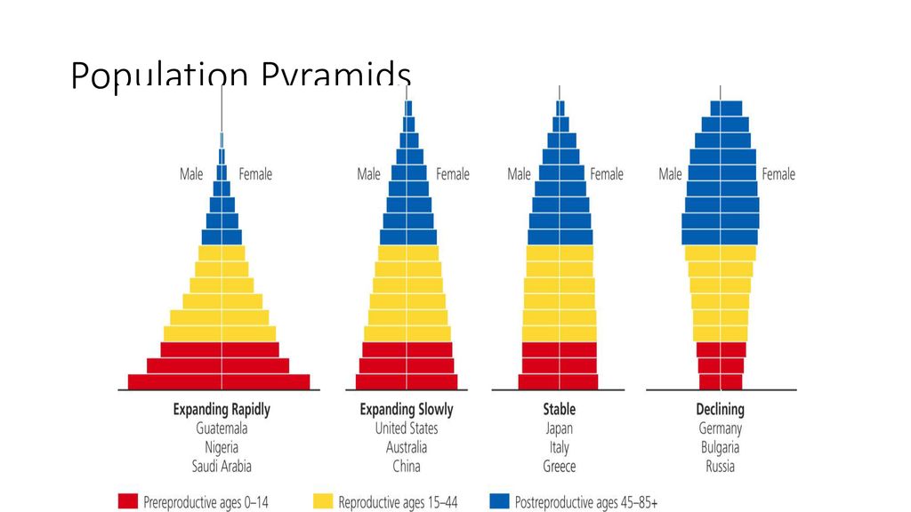 Population Pyramids Stages of Demographic Transition Model Pre ...