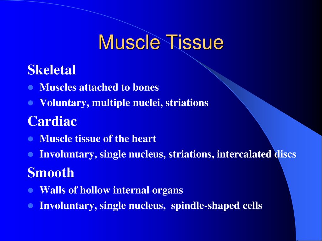 Anatomy Final Review. - ppt download