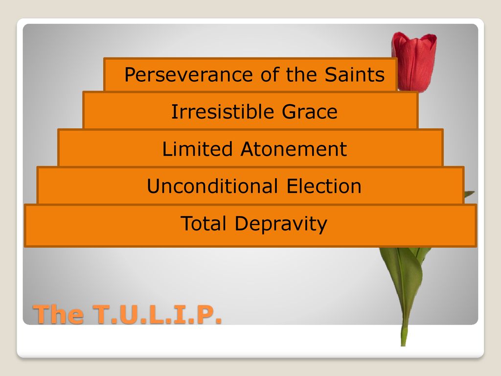Part 7c What is the Church? – Reformed?? - ppt download