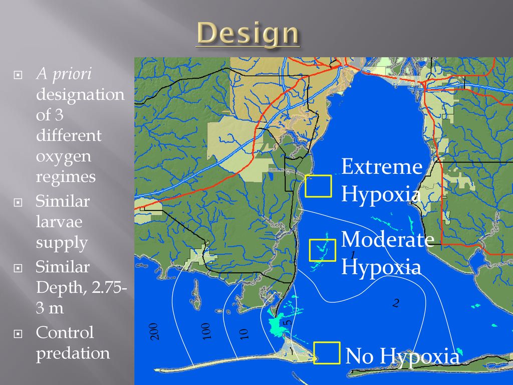 Design Extreme Hypoxia Moderate Hypoxia No Hypoxia