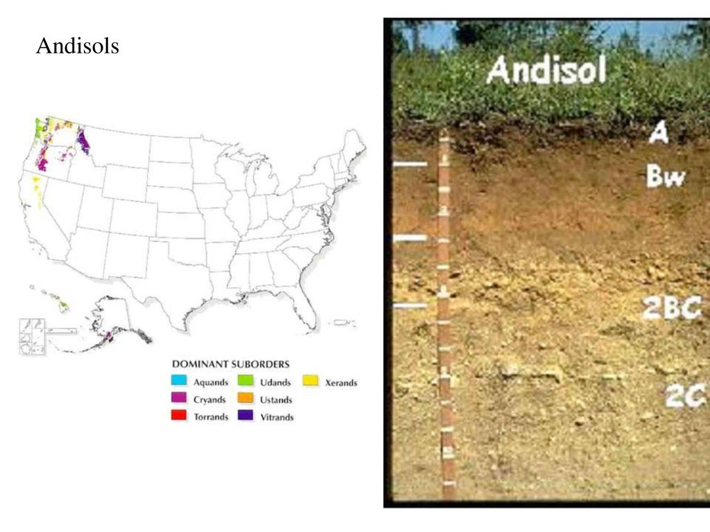 Getting Dirty with SOILS - ppt download