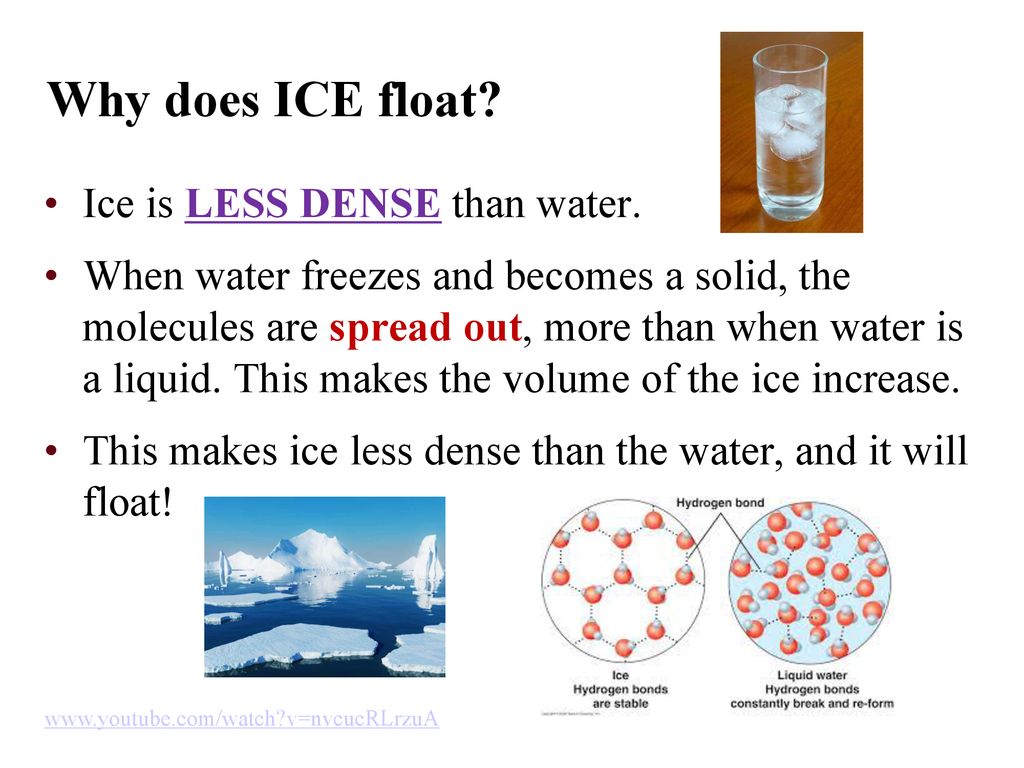 Properties of water part 1 ppt download