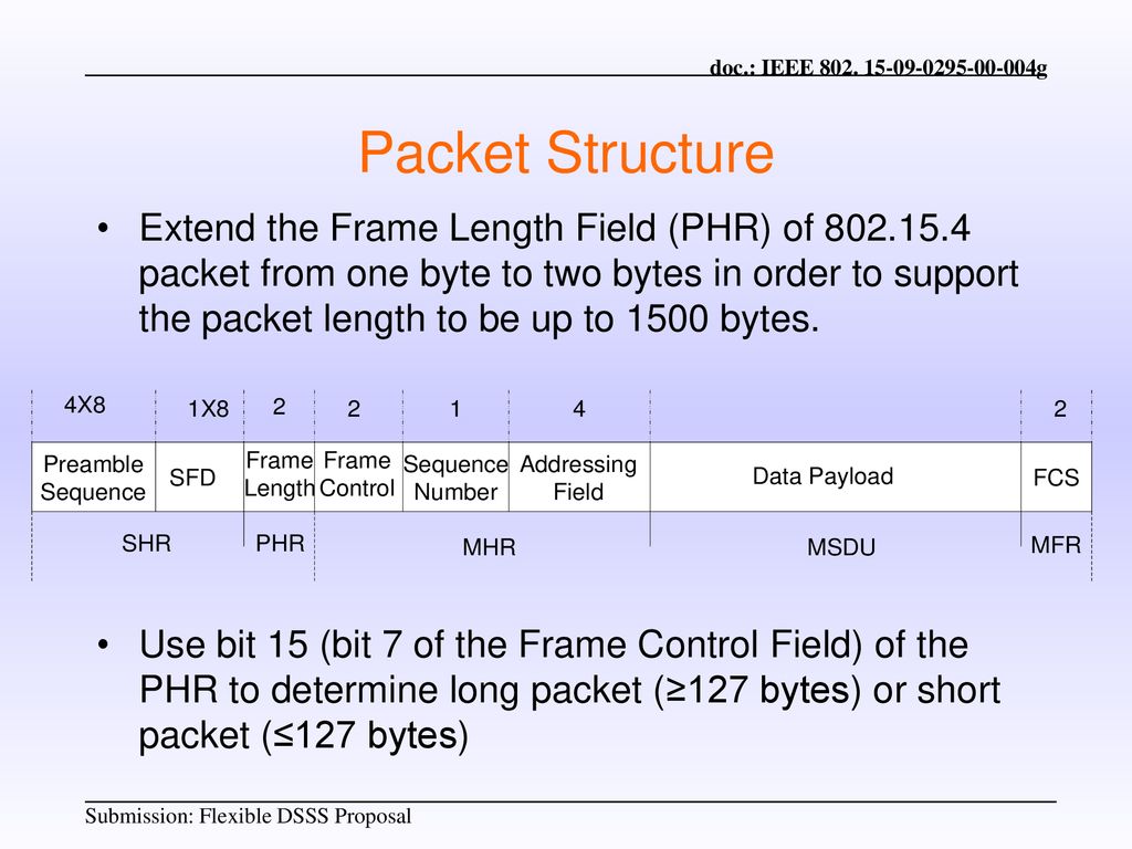 Packet Structure