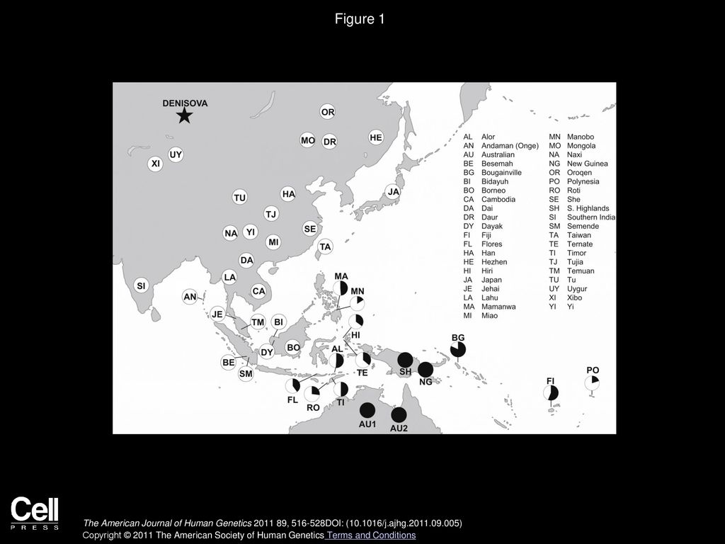 Figure 1 Denisovan Genetic Material as a Fraction of that in New Guineans.