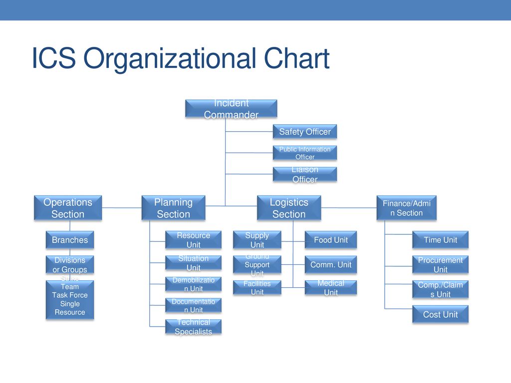Ics Org Chart