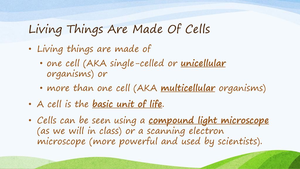Living Things Are Made Of Cells