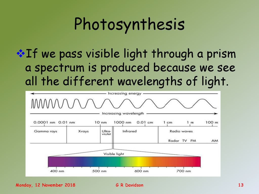 Photosynthesis If we pass visible light through a prism a spectrum is produced because we see all the different wavelengths of light.