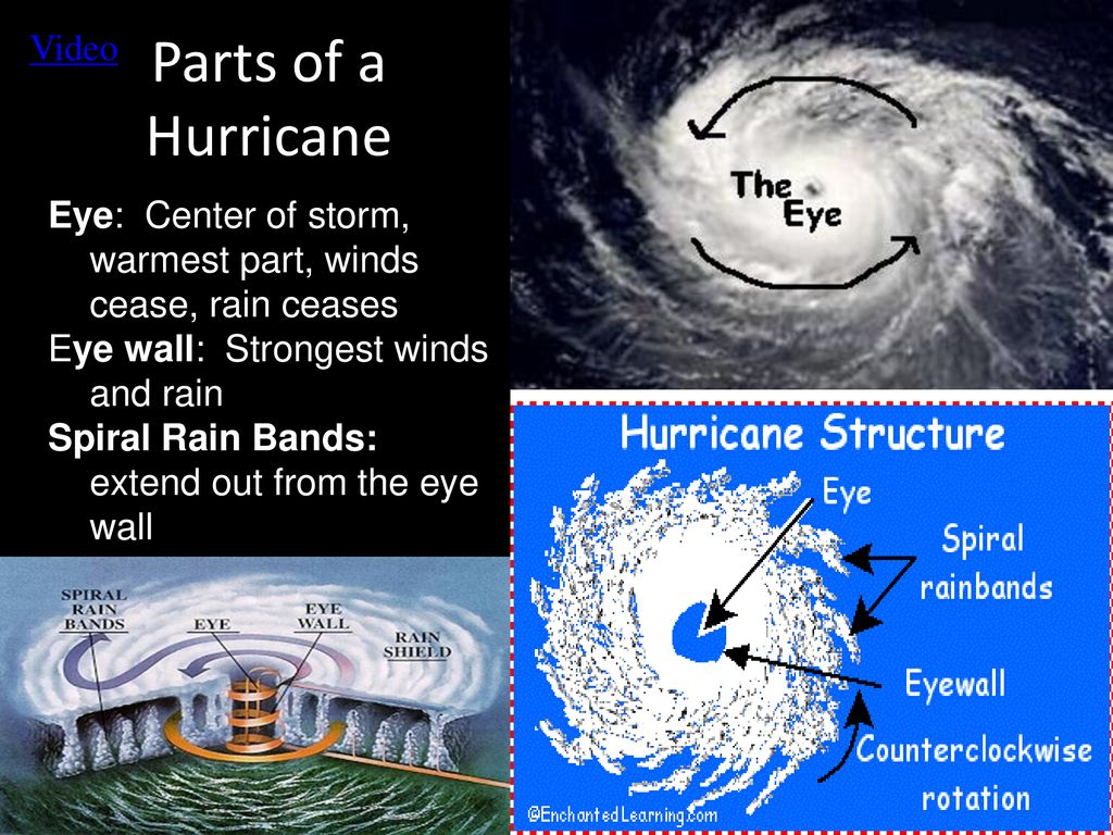Describe the conditions needed for a thunderstorm to form. - ppt download