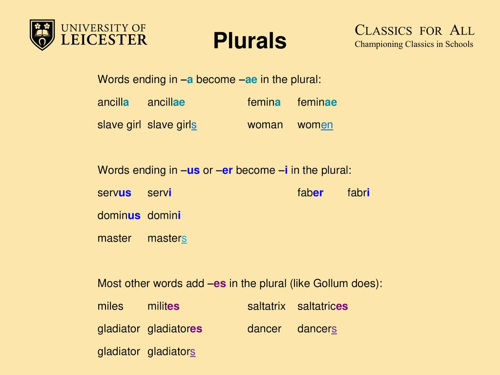 Words ending in. Say the Words in the plural. Say the Words in the plural 3 класс. Say the sentences in the plural перевести. Say the Words in the plural Chair.